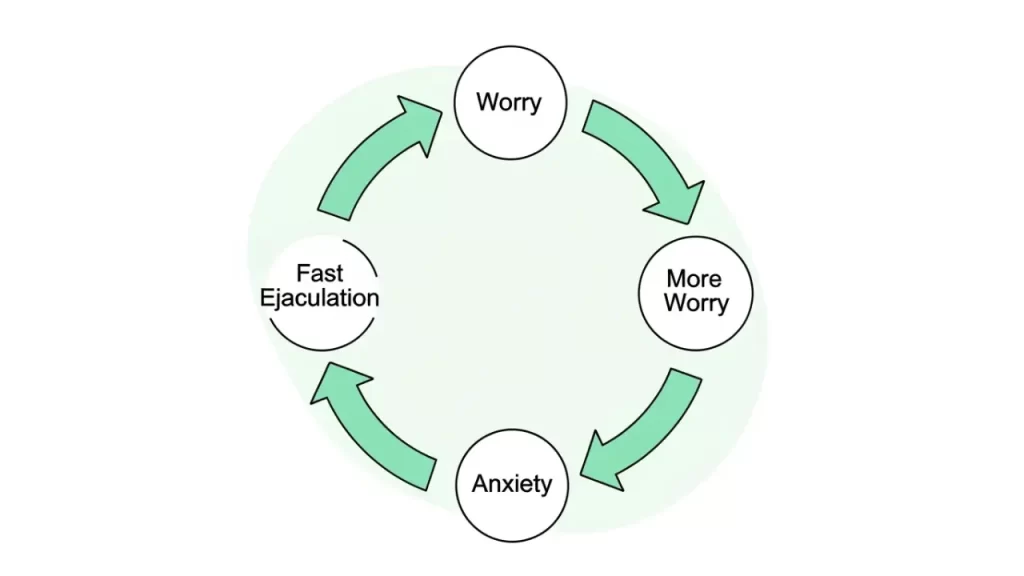 Diagram showing the anxiety and premature ejaculation feedback cycle