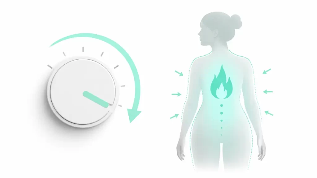 Illustration of metabolic adaptation showing body slowing metabolism on a very low calorie diet